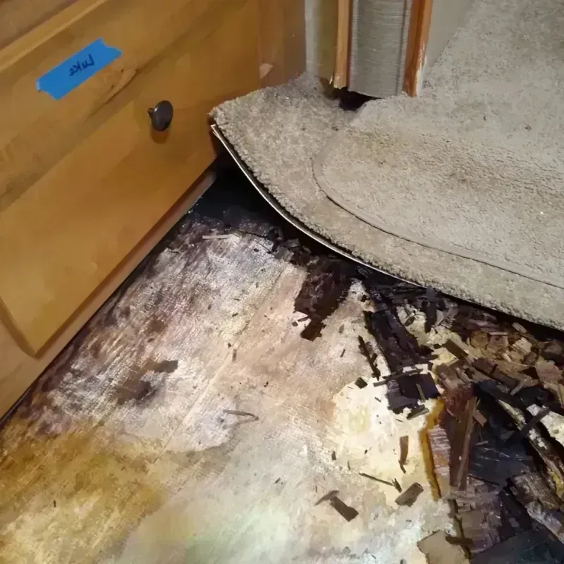 Best Wood Floor Water Damage Service in Helena Valley Southeast, MT